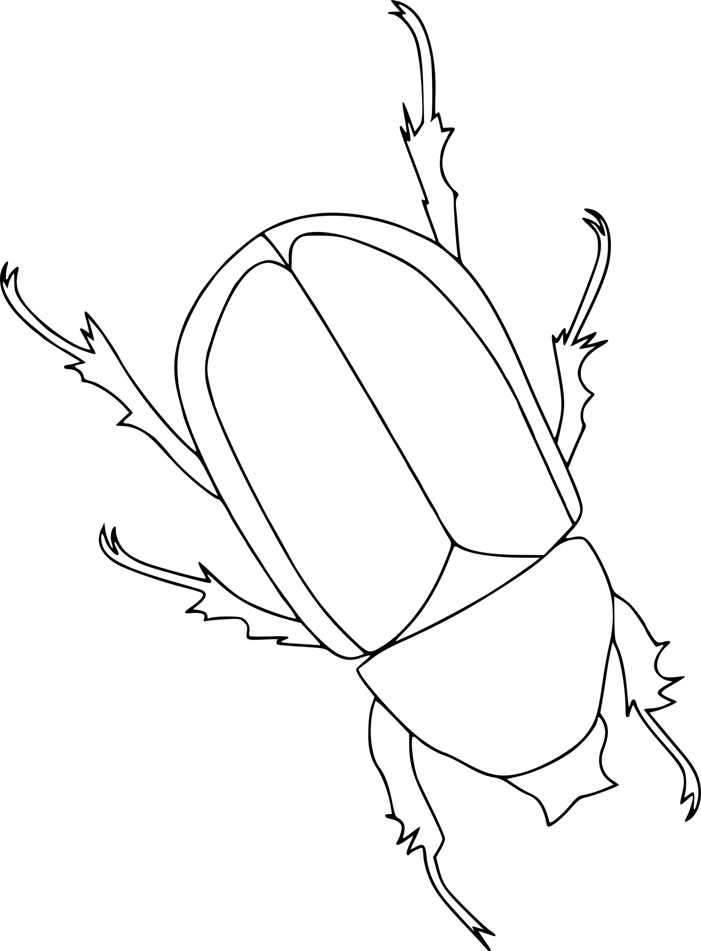Beetle drawing and coloring page