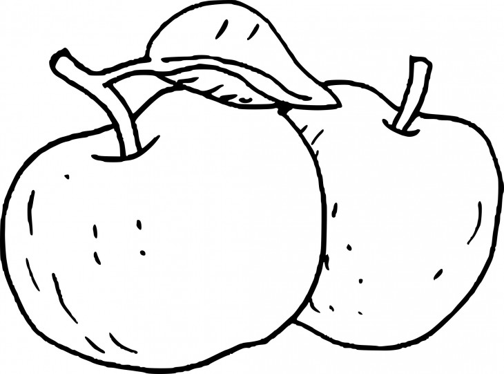 Coloriage deux pommes