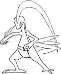 Grovyle Pokemon coloring page