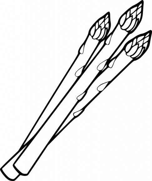 Asparagus coloring page