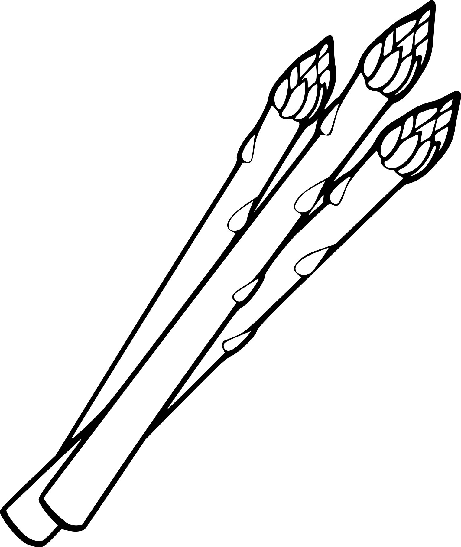 Asparagus coloring page