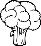 Broccoli coloring page