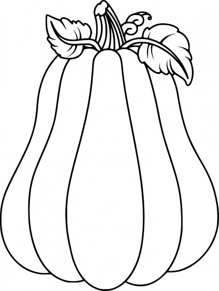 Squash coloring page